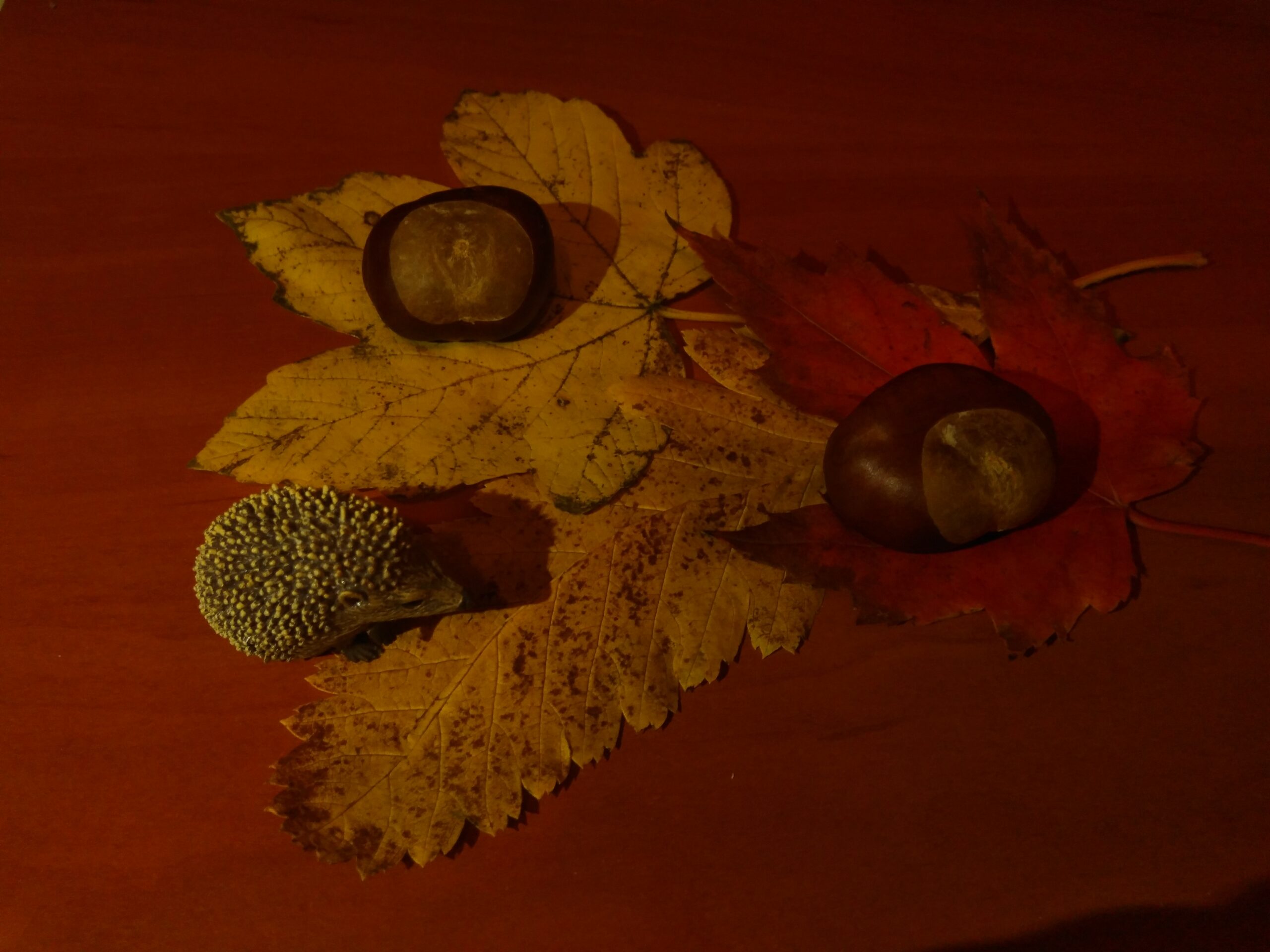 Jesień – liście, kasztany i jeż, brązowa kolorystyka